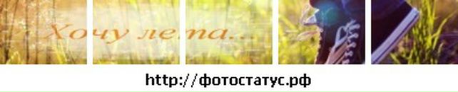 Свєта Копель фотография #30 (источник - https://vk.com/id86760197)