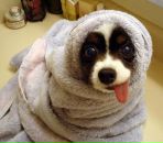 Фотография Ришко Ани