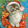 Віка Лось фотография #15 (источник - https://vk.com/id139870357)