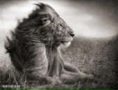 Фотография Томилова Мария