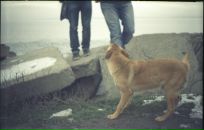 Дмтр Мксмв фотография #16 (источник - https://vk.com/id628801)