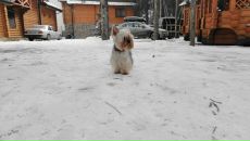 Вадим Маслов фотография #13 (источник - https://vk.com/id3378227)