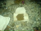 Стас Милів фотография #27 (источник - https://vk.com/id18060908)