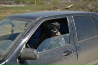 Фотография Долгова Михаила