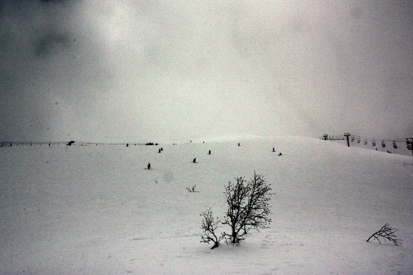 Александр Стаценко фотография #49