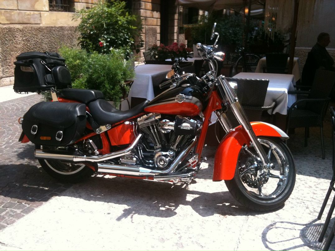 Al Ex фотография #32