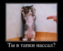 Андрій Федорчук фотография #8 (источник - https://vk.com/id159587603)