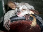 Фотография Малушина Артура