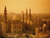 Фотография Кота Даниэля