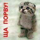 Фотография Стрекаловой Натальи