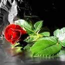 Наташа Заика фотография #5 (источник - https://vk.com/id143947739)