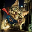 Вова Зільвова фотография #43 (источник - https://vk.com/id165539922)