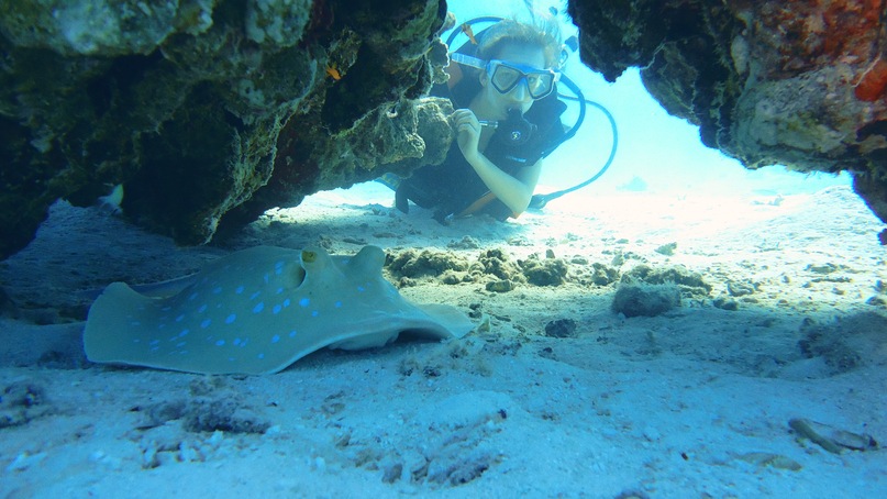 Наталья Либман фотография #21