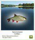Володя Лупій фотография #29 (источник - https://vk.com/id31282851)