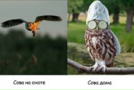 Фотография Климовской Вероники
