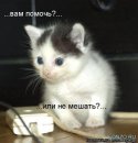 Андрій Львов фотография #26 (источник - https://vk.com/id28441248)