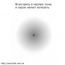 Макс Дідик фотография #29 (источник - https://vk.com/id16792664)