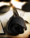 Юлічка Мельничук фотография #20 (источник - https://vk.com/id37916122)