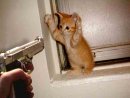 Иван Иванов фотография #3 (источник - https://vk.com/id1207451)