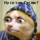Вася Залюбівський фотография #36 (источник - https://vk.com/id63271386)