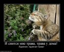 IrkO ♥...ACID...♥ фотография #6 (источник - https://vk.com/id56309414)