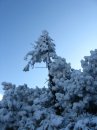 Віталій Андрусятчин фотография #9 (источник - https://vk.com/id4370987)