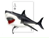 Фотография Рябова Антона