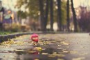 Engin Izmirli фотография #19 (источник - https://vk.com/id163352451)
