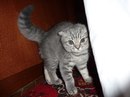 Шевчук Сергій фотография #16 (источник - https://vk.com/id20495548)