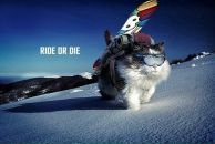 Надя Суплецова фотография #46 (источник - https://vk.com/id510208)