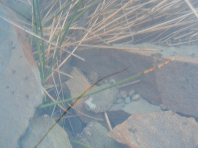 Di Mas фотография #11