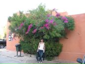 Ірина Лісович фотография #26 (источник - https://vk.com/id19871993)