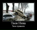 Фотография Shabanoff Andrey