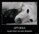 Ліля Следзь фотография #27 (источник - https://vk.com/id145987523)