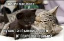Дашулька Хміль фотография #23 (источник - https://vk.com/id169923919)