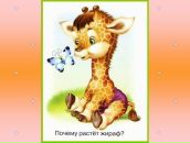 Фотография Коротковой Марии