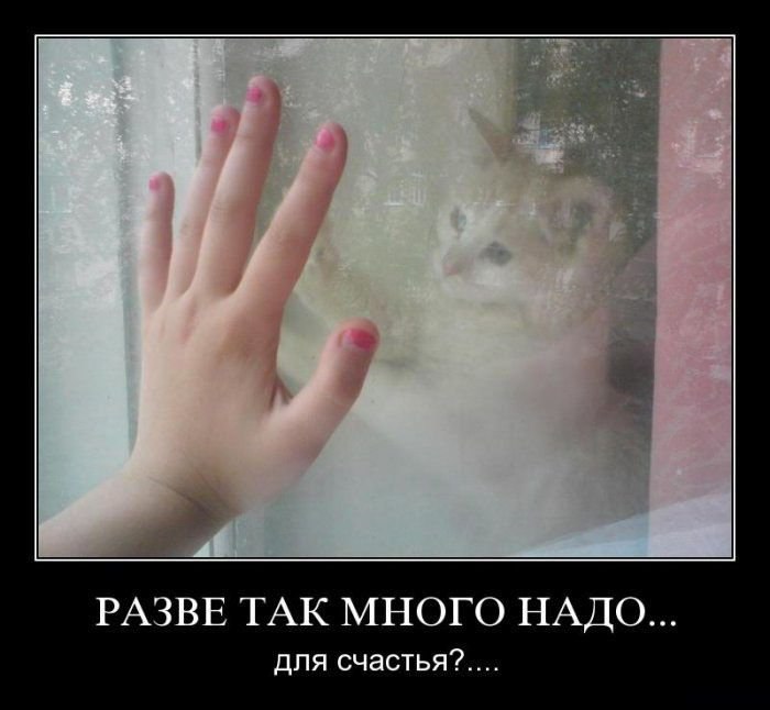 Игорь Будник фотография #17