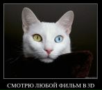Діма Шалапай фотография #1
