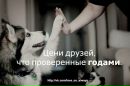 Міша Ковач фотография #2 (источник - https://vk.com/id155630114)