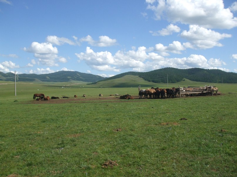 Ууганбаатар Ганбаатар фотография #20