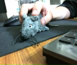 Басан Кикеев фотография #42 (источник - https://vk.com/id661595)