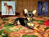 Julia Bork фотография #45 (источник - https://vk.com/id1985343)