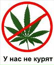 Сєрий Ярмолюк фотография #12 (источник - https://vk.com/id161161895)