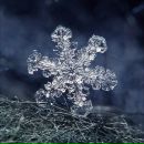 Фотография Стас Егорычев