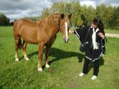 Фотография  