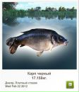 Колян Мірецький фотография #10 (источник - https://vk.com/id155031308)