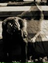 Іван Кандяк фотография #37 (источник - https://vk.com/id150500857)