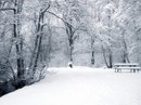 Натусічка Іванець фотография #26 (источник - https://vk.com/id163366629)