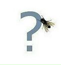 Ваня Йосипів фотография #23 (источник - https://vk.com/id65177463)
