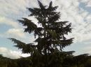 Tuncay Ünde фотография #20 (источник - https://vk.com/id145117471)